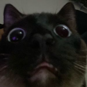 Meet your Posher, Noelia